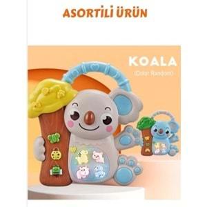 KOALALI PİYANO (8 Lİ BOX) 8808-C *96